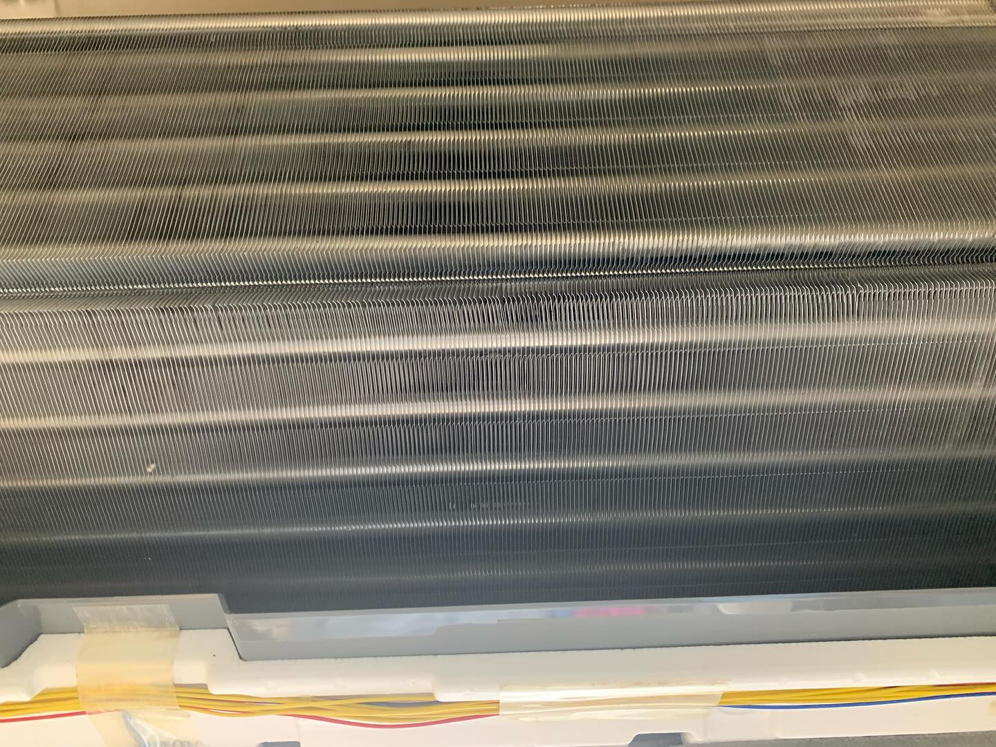 今週は寒い日が続いていますが、桜のつぼみが少しずつ変化を見せ...