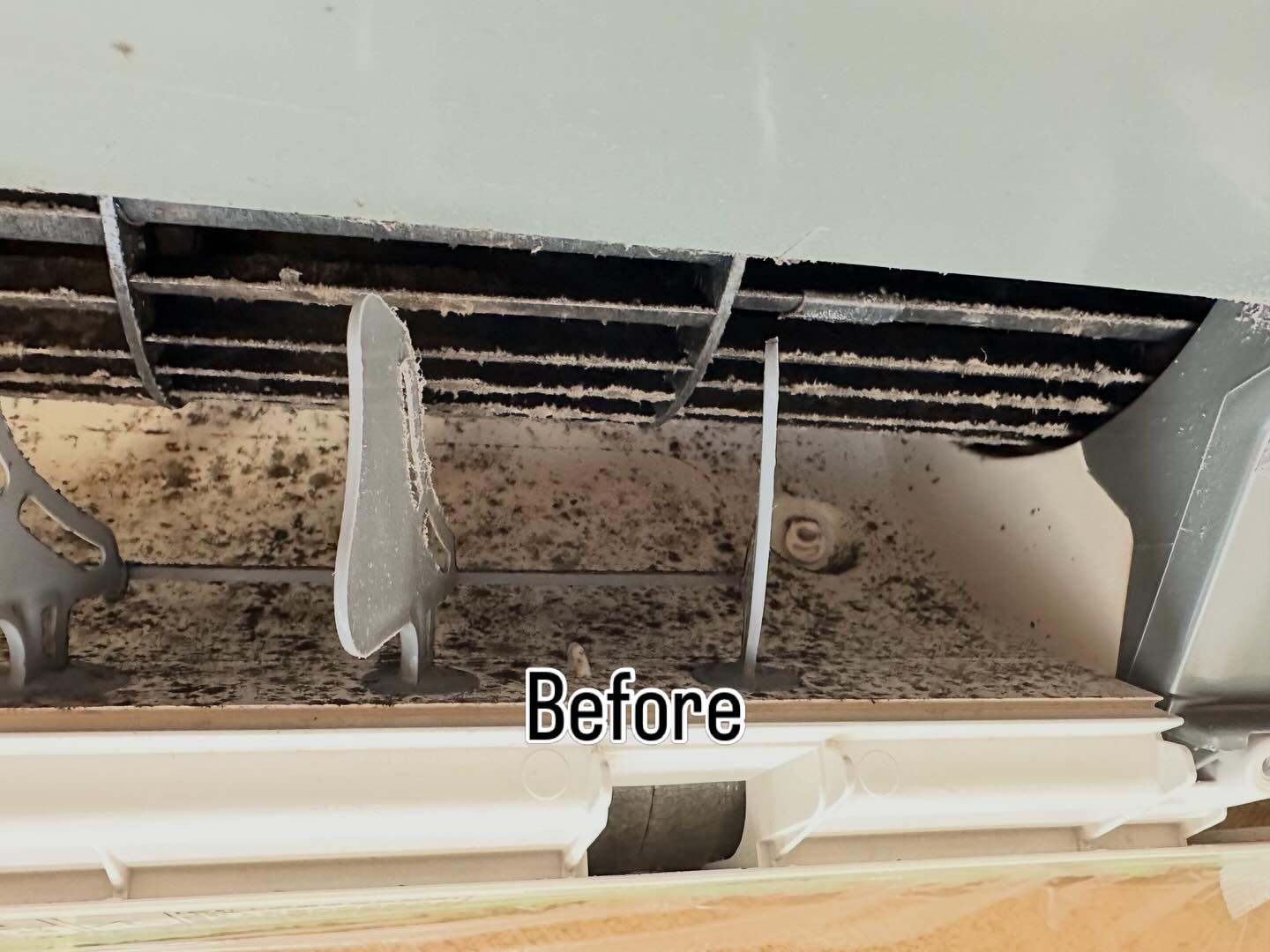 花粉の季節のようで症状辛い方には大変な時期かと思います。